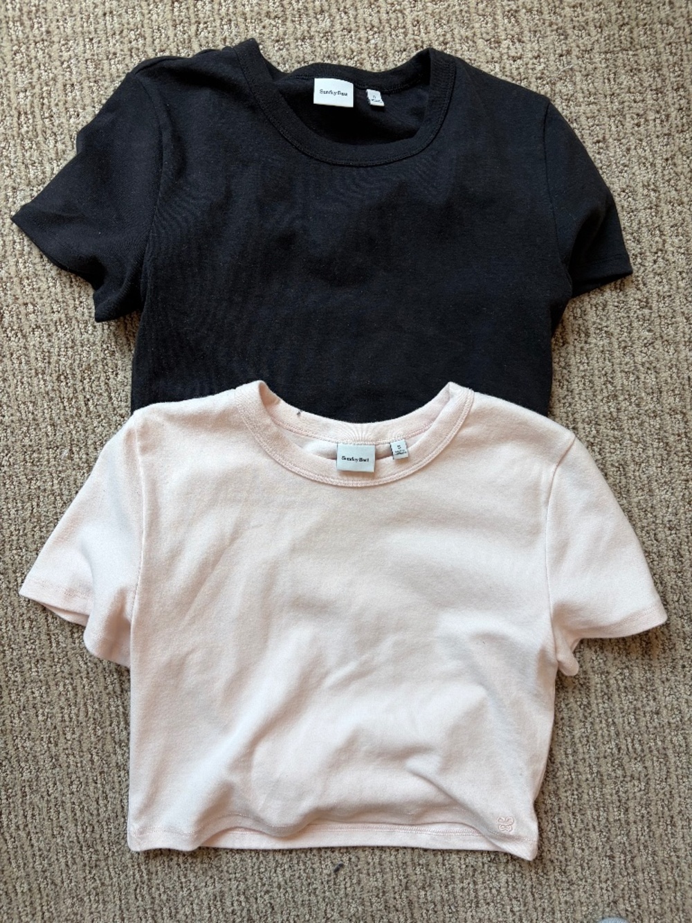 Aritzia Sunday best crop tees
